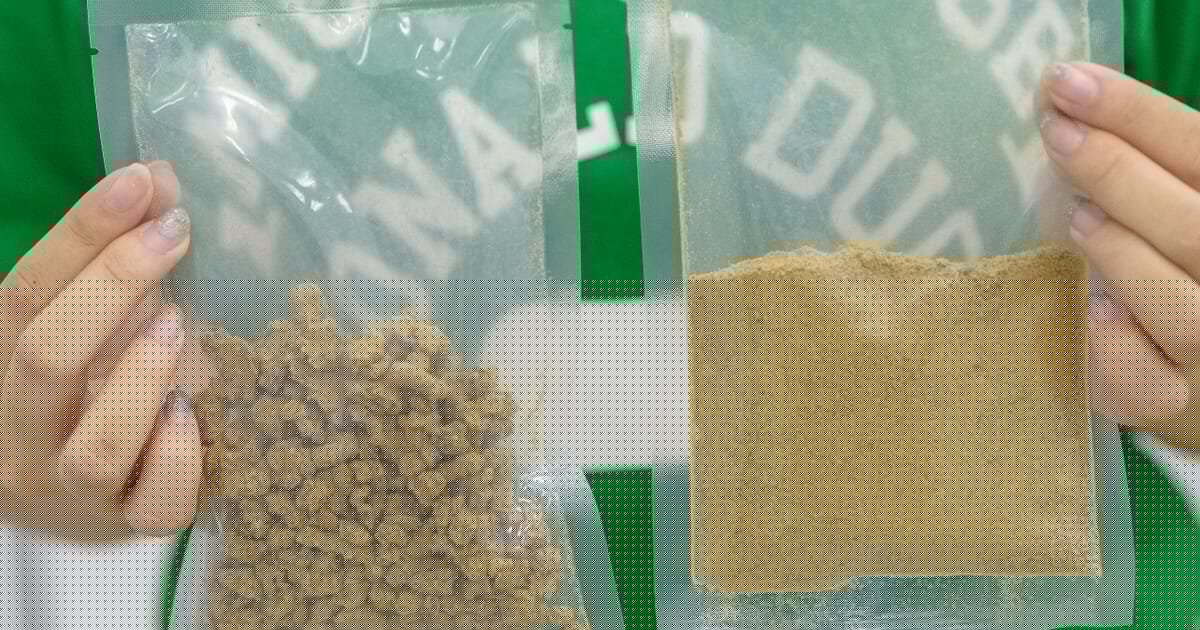 New 7,000-tonne insect meal factory announced in Thailand