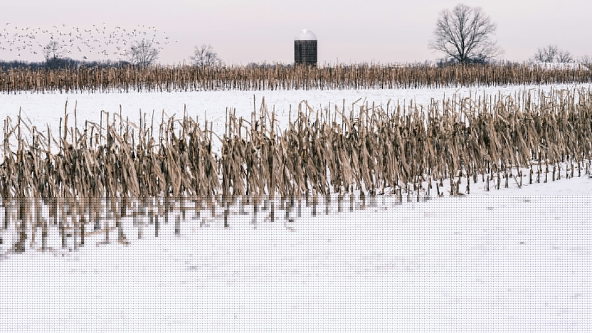 Episode 430 - Frozen kernel security