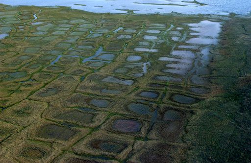 Winter drilling program in Alaska petroleum preserve can proceed, judge rules