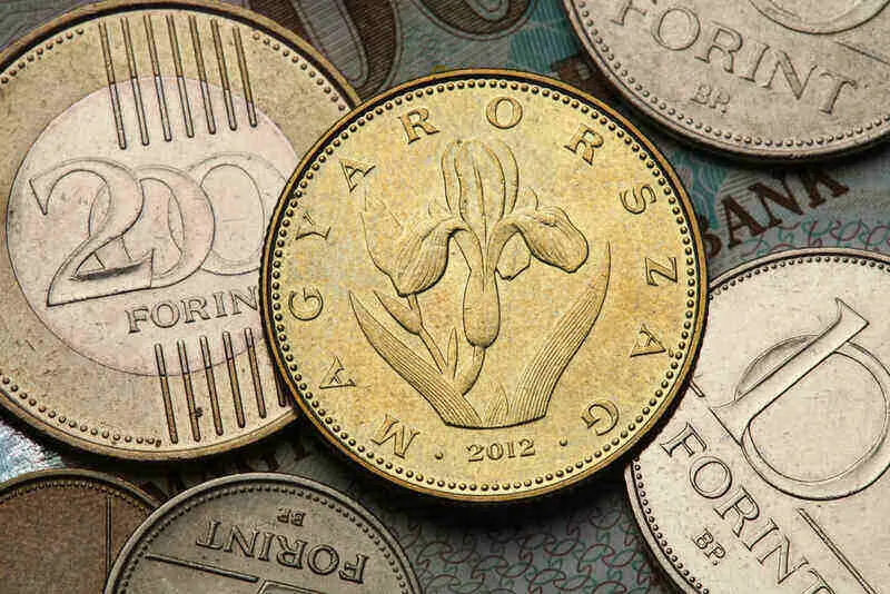 Hungarian central bank issues new dog-themed coin: Here’s what it’s worth – photo