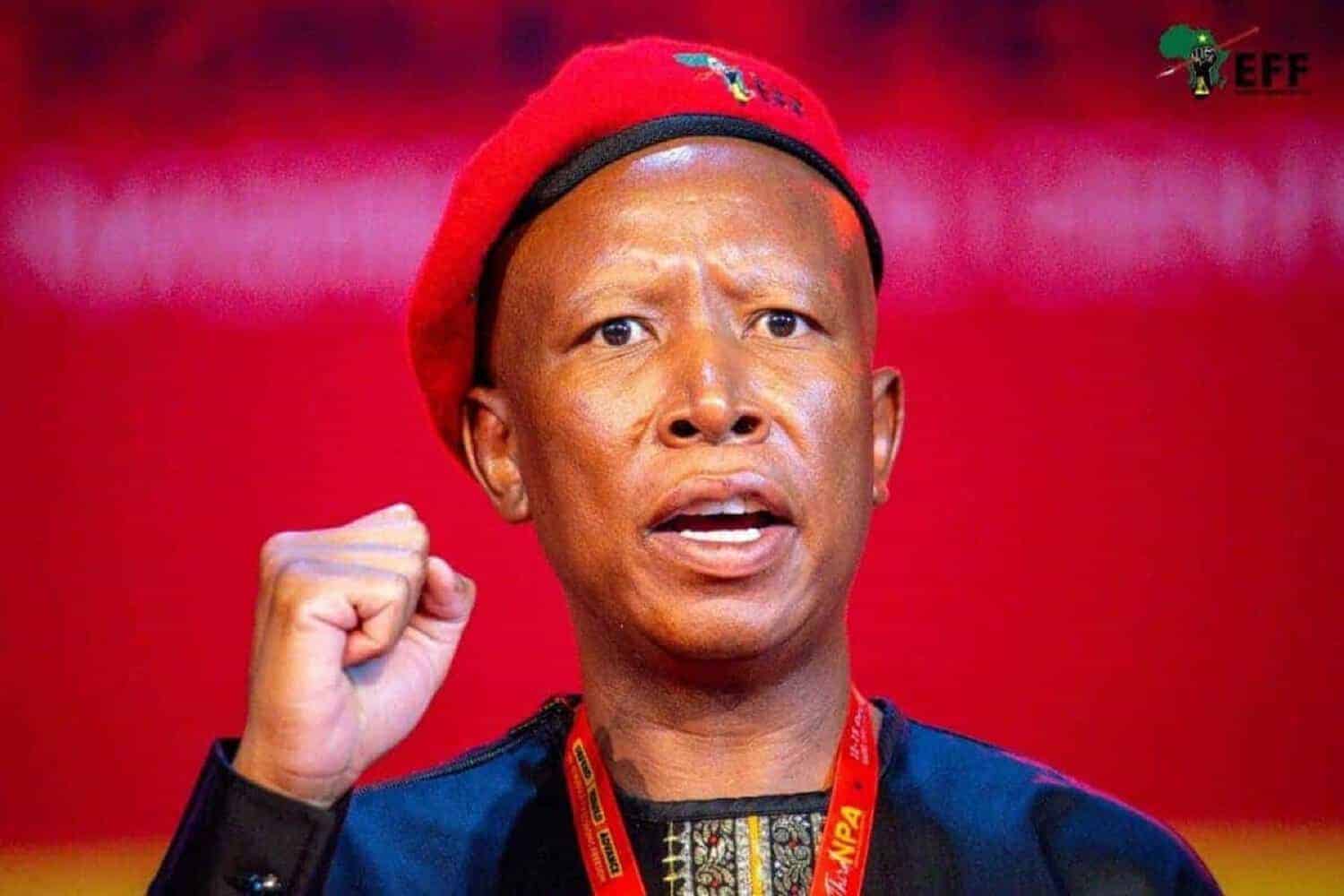 Julius Malema explains why he supported Andrea Johnson