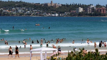 Swimmers ordered out of water after shark spotted at Manly Beach