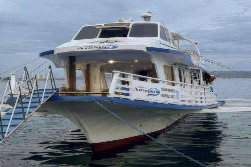 Amejara’s franchise was to ferry passengers “during daytime only” and between Davao City and Samal only