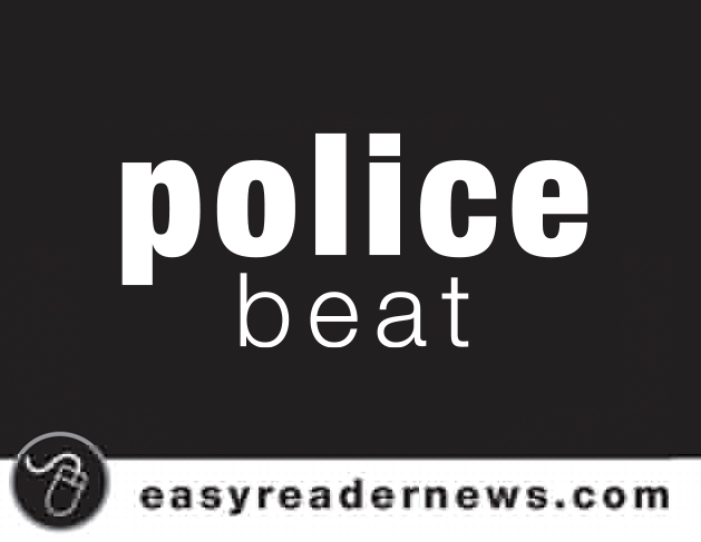 Manhattan Beach Police Beat