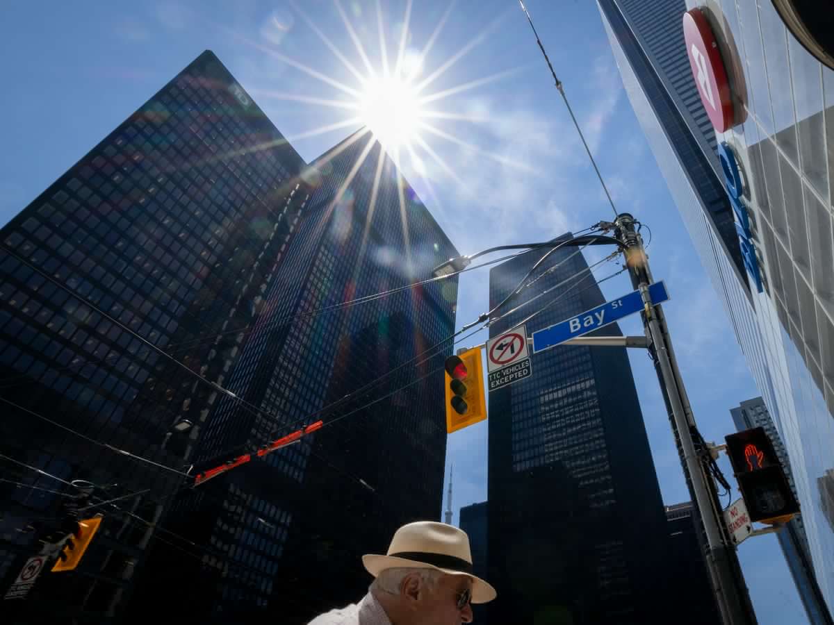 Venture capital investment in Canada jumps 17% in first half of 2026, with domestic investors leading way