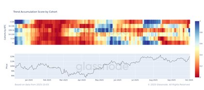 Accumulation Trends Strengthen as Bitcoin Breaks Through $120K