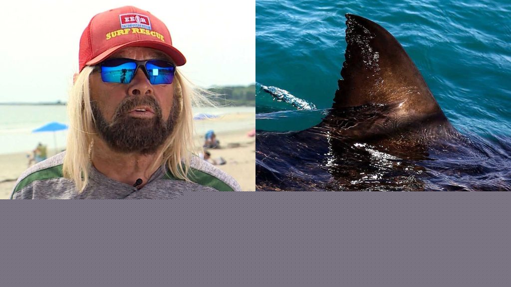 Lifeguard says he was dragged 5 to 6 feet underwater by great white shark