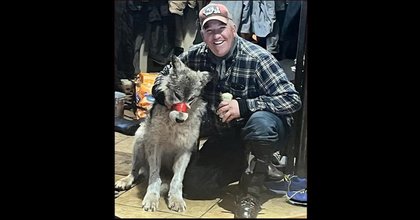 Judge hints he will send wolf torture case to trial