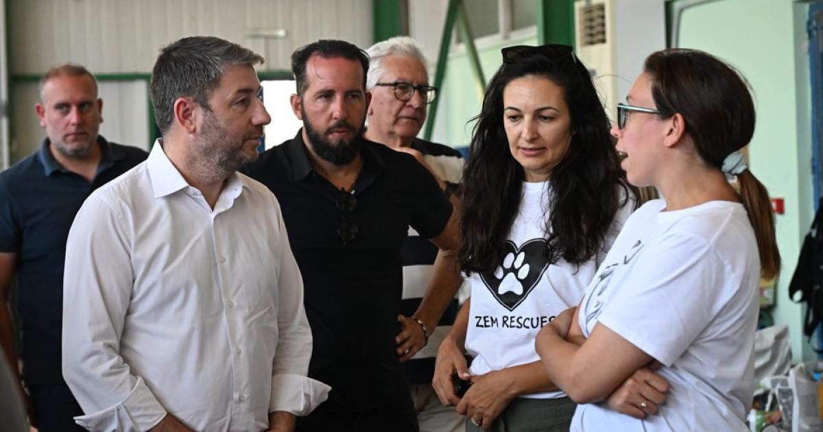 Ο Ανδρουλάκης στον σταθμό φιλοξενίας πυρόπληκτων ζώων στα Μέγαρα (Photos)