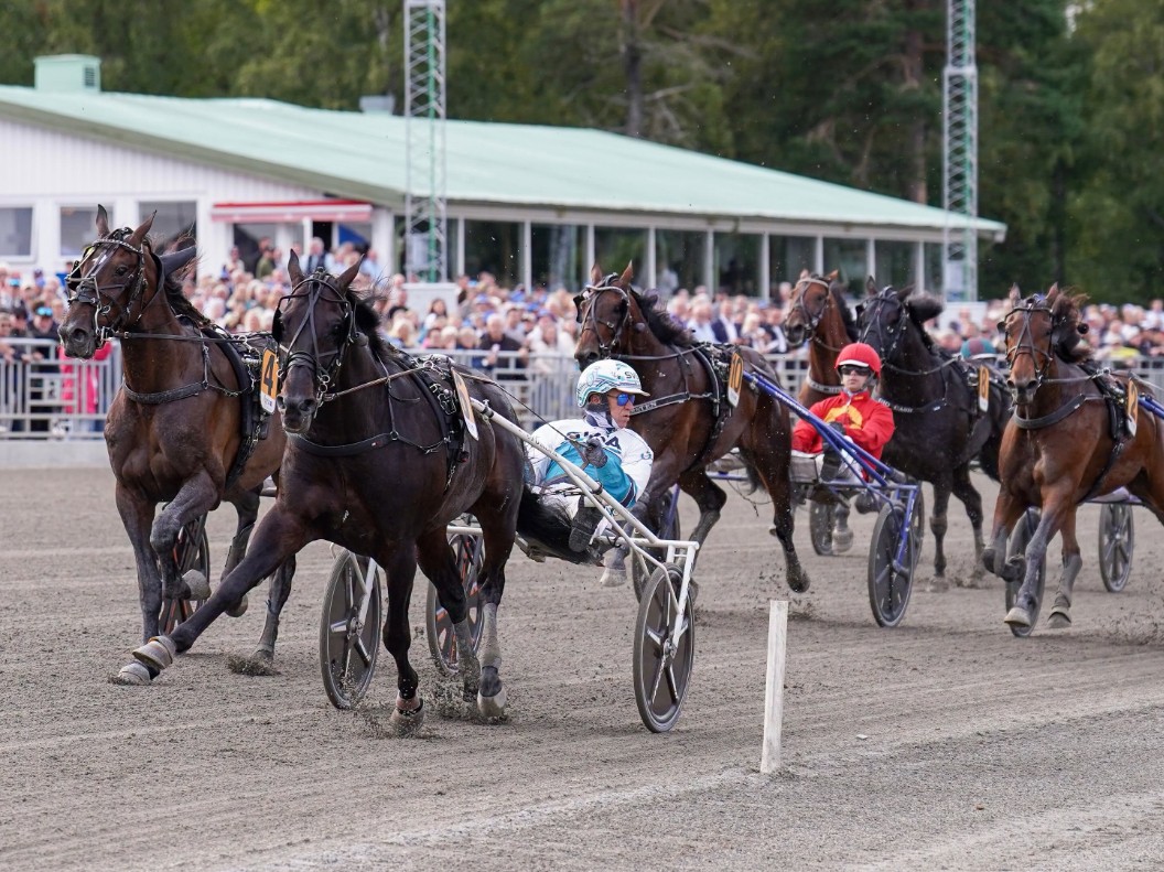 Don Fanucci Zet wins Jamtlands Stora Prix