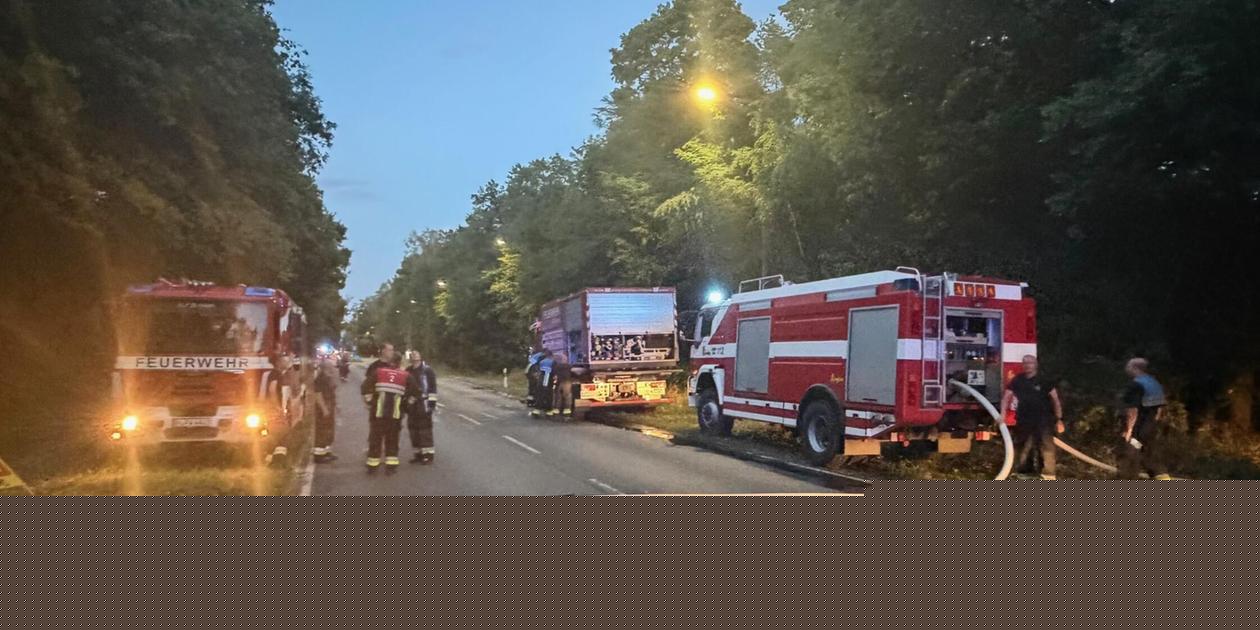 Feuerwehr wegen Bodenbrand in Nürnberg alarmiert - rund 800 Quadratmeter Waldfläche betroffen