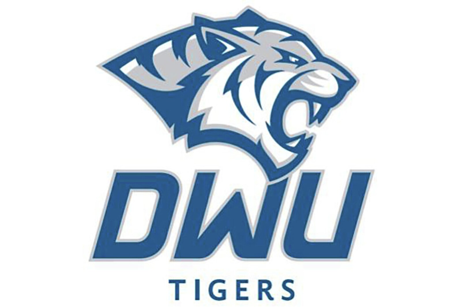 Landon Ruesink named to Academic All-America first team for DWU football