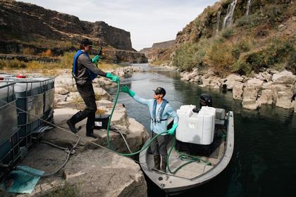 Idaho approves authority to fight quagga mussels in Snake River