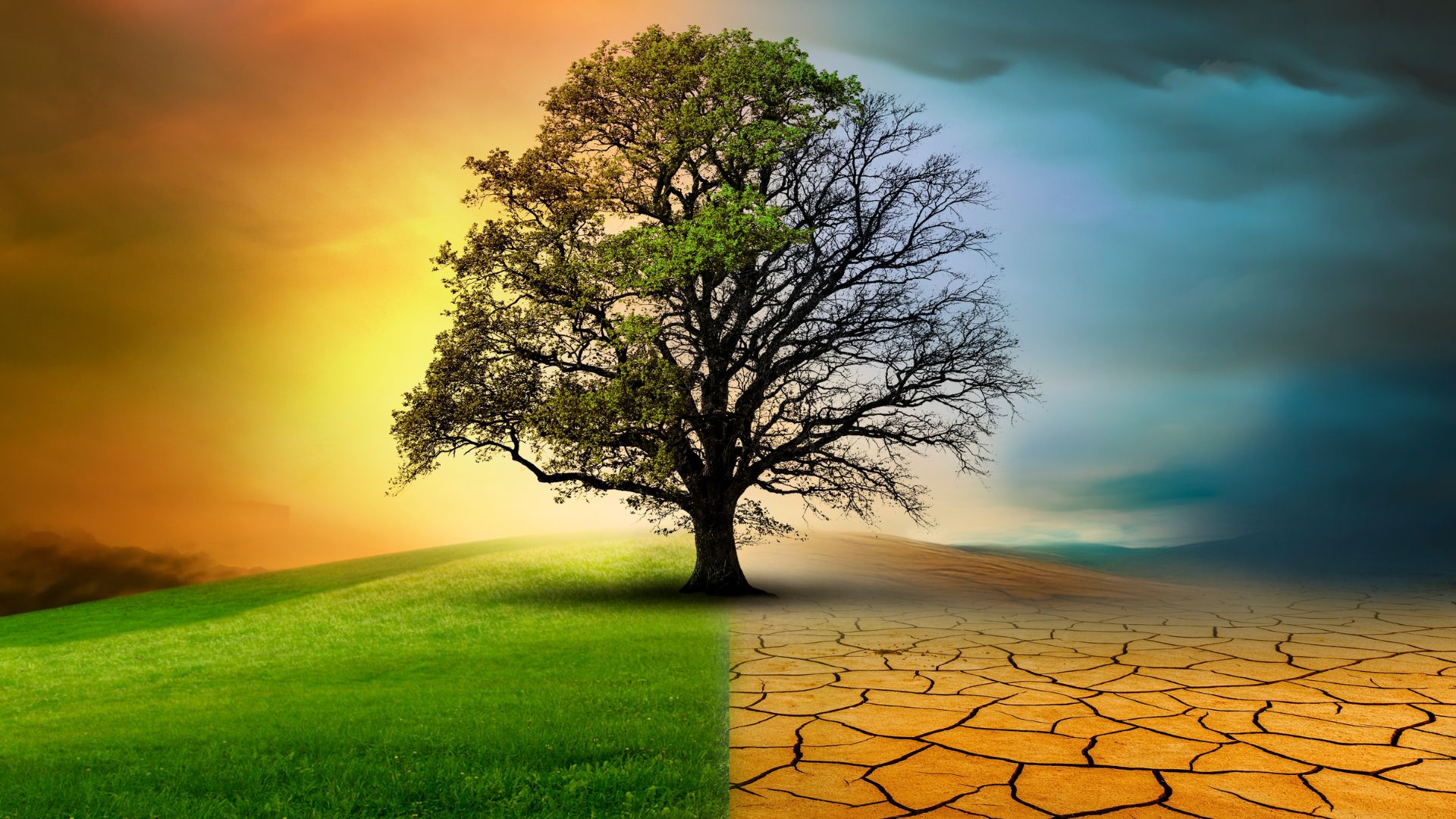 Former Climate Activist Wakes Up and Drops Truth Bombs All Over the Green Scam [WATCH]
