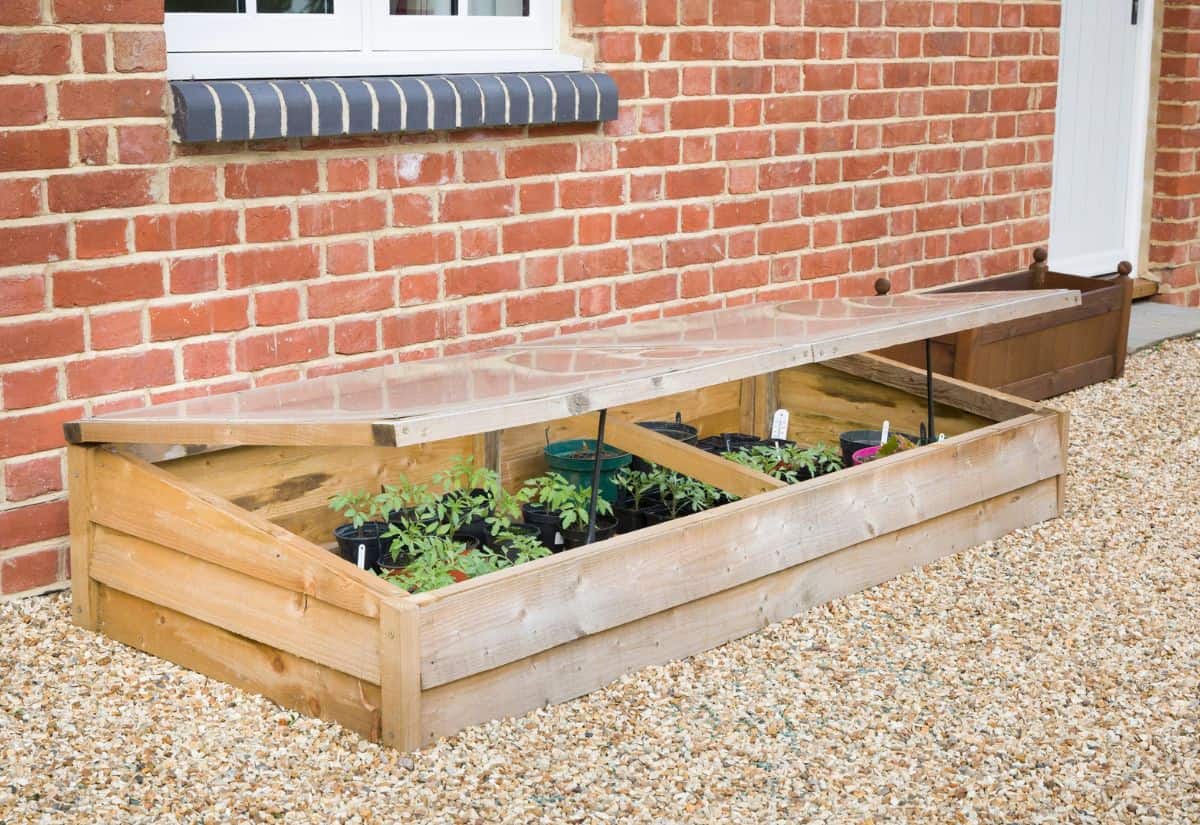 The $50-project that gives you fresh greens all winter