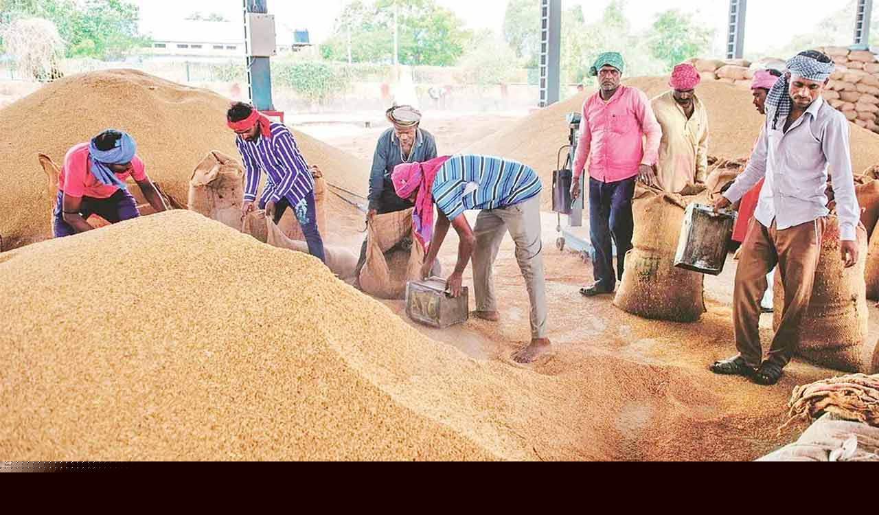 Cultivation of alternative crops in paddy fields will be challenging task
