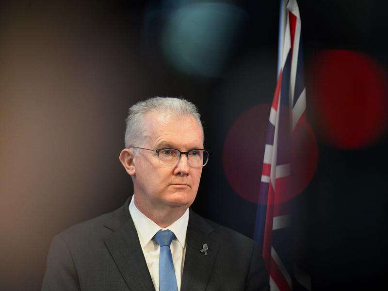 'Chaos and confusion' engulfs future migration policy