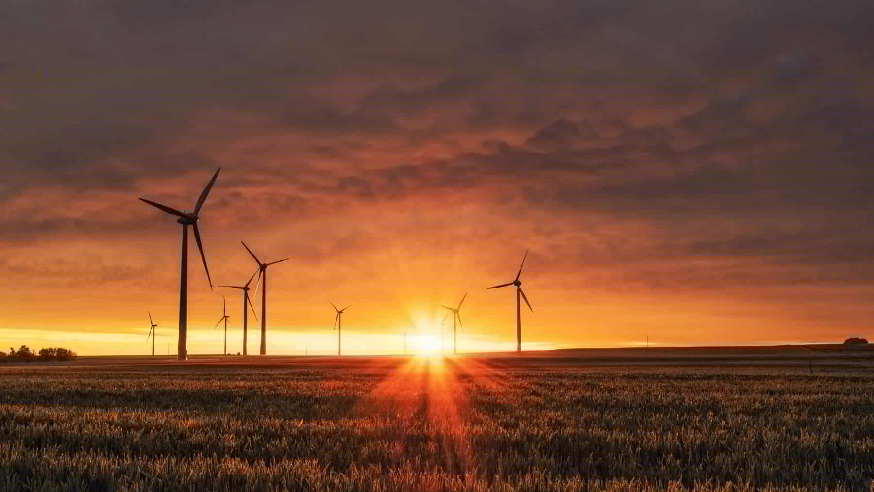 Las 4 estrategias con las que la administración de Donald Trump bloquea el avance de las energías limpias