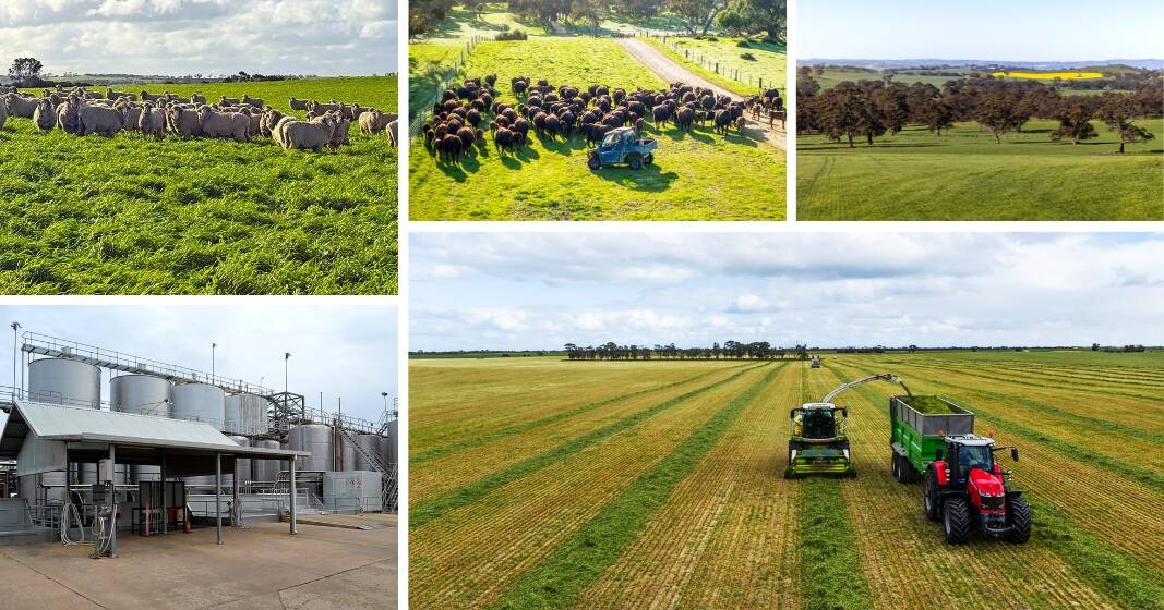 Standout South Australian rural listings and sales in the headlines this week