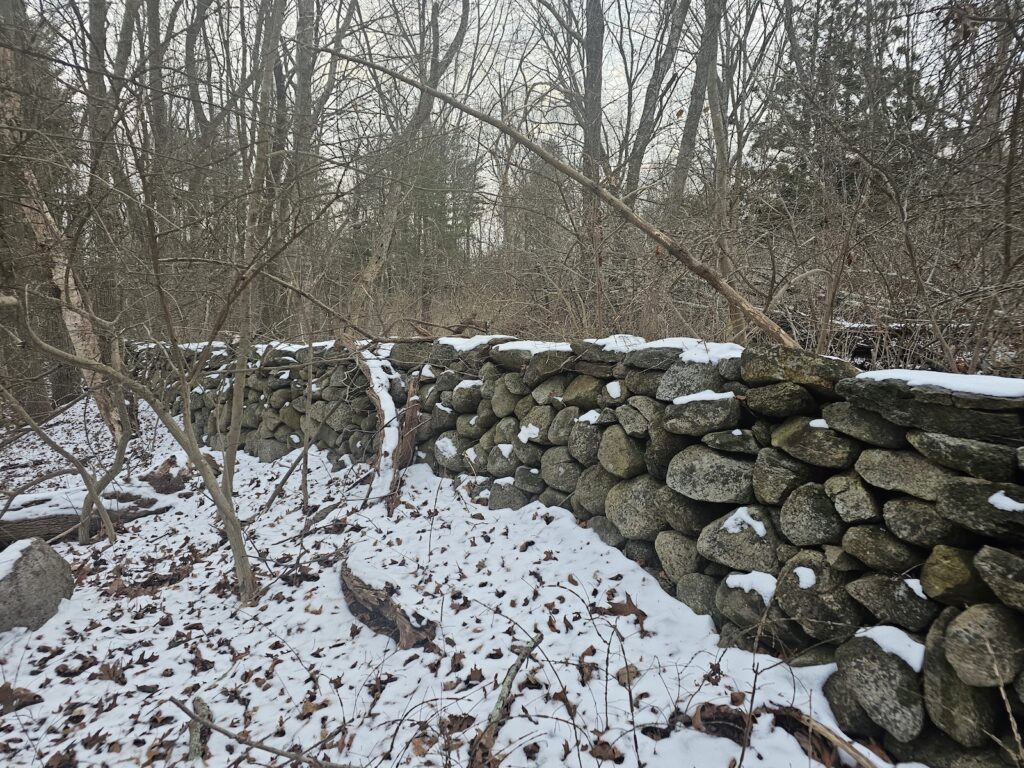 Outdoors: Squirrels and stone walls