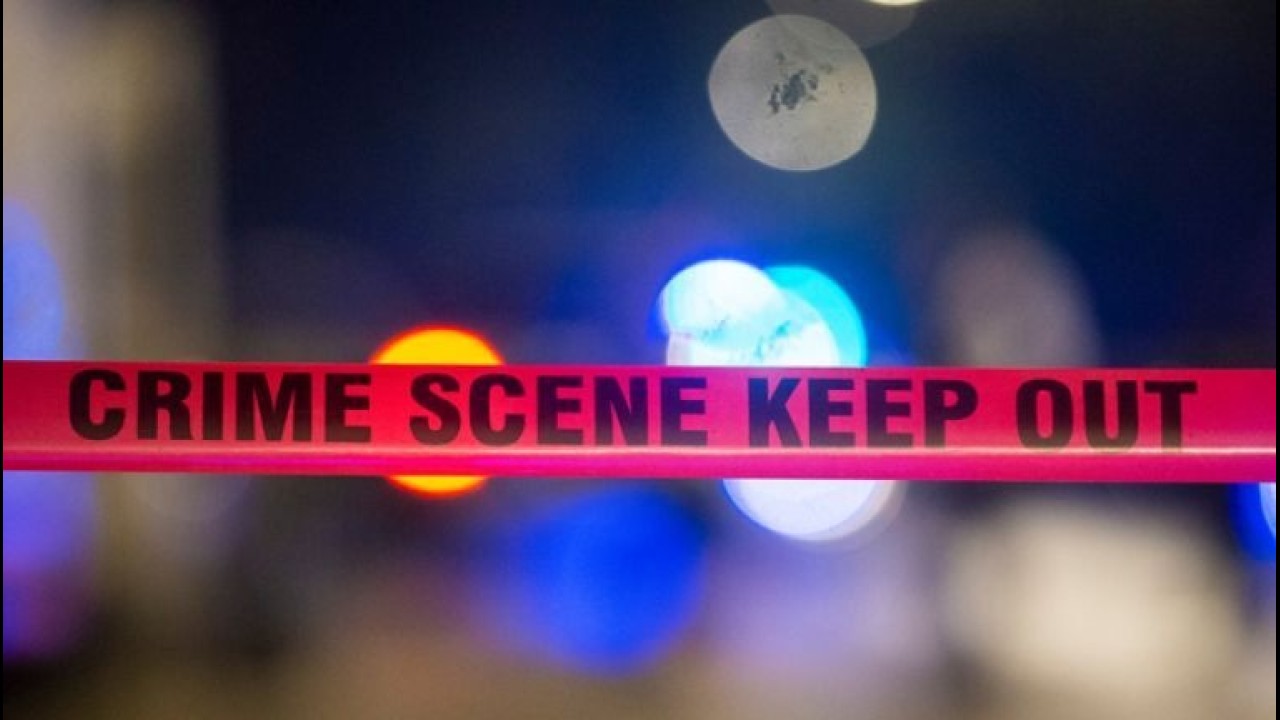 U.S. heading towards historically low homicide rates, report finds
