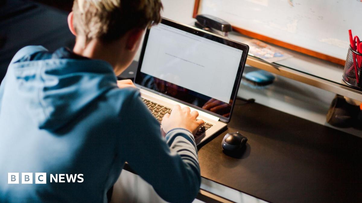 Teen hackers tell BBC how police are helping them use their skills for good