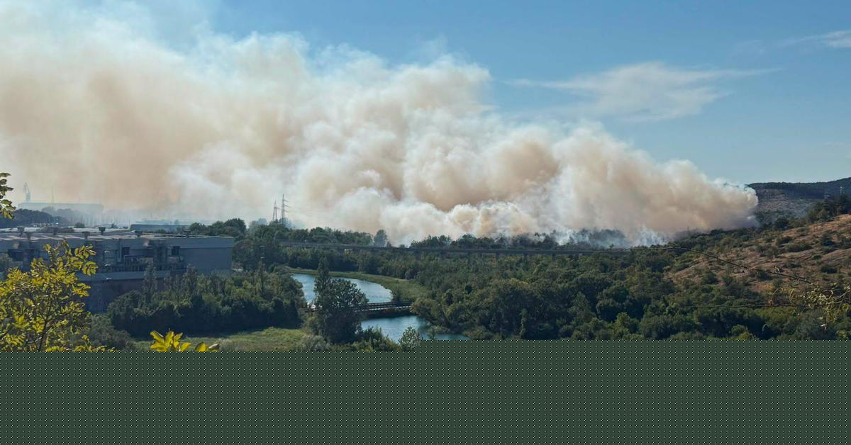 Požar med Tržičem in Štivanom pogasili