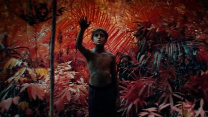 Stranded boys struggle to survive in Lord of the Flies trailer