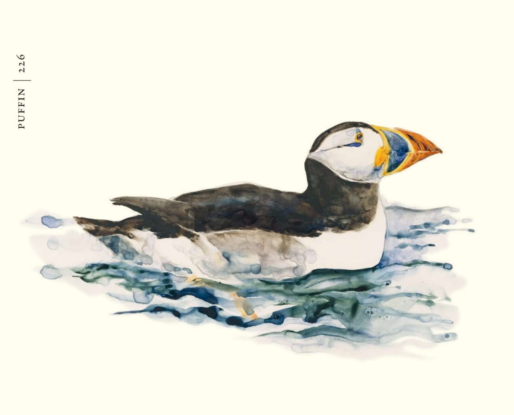 Author Robert MacFarlane and illustrator Jackie Morris admire feathered friends in The Book of Birds