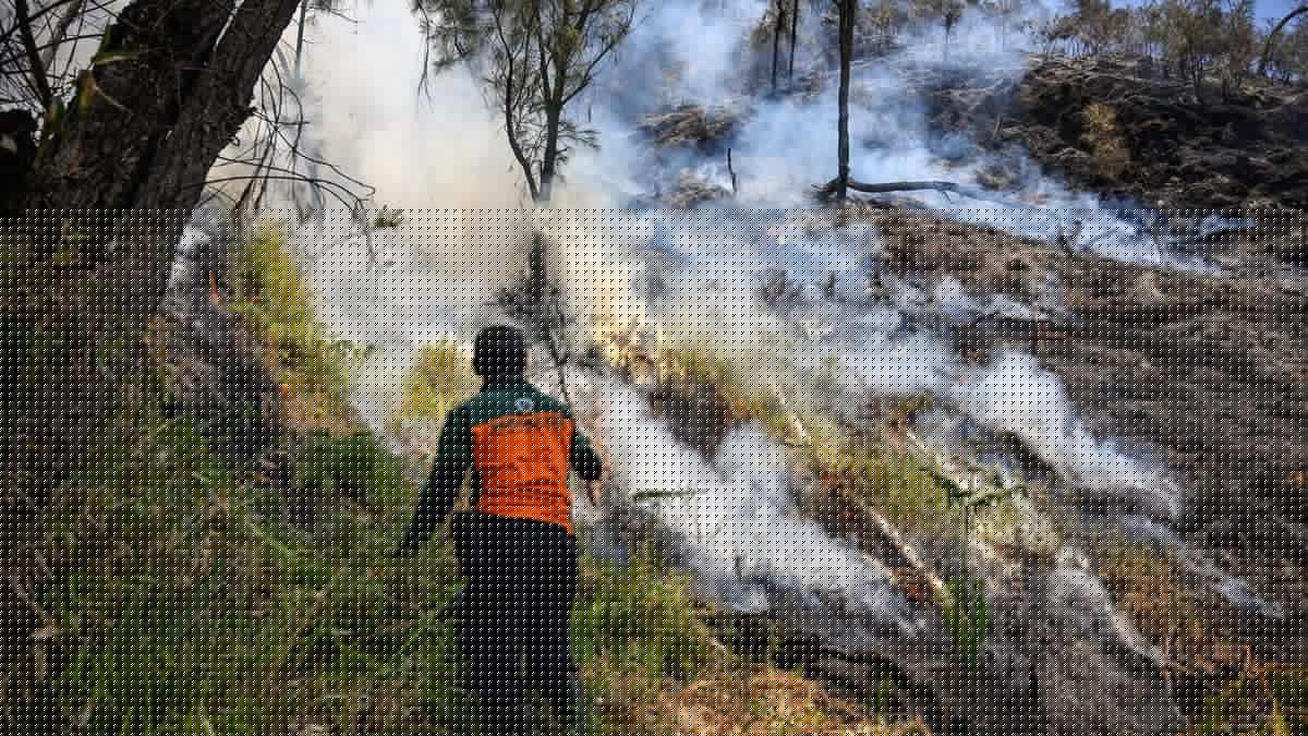 Pemadaman Terus Dilakukan Setelah Karhutla Melanda Gunung Bromo