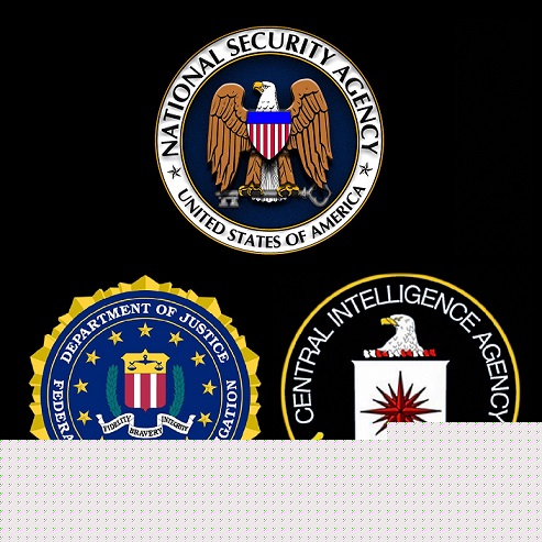 Comment on Judge Nap: US Intel Agents Likely Responsible for Wikileaks, Not Russia by useful site