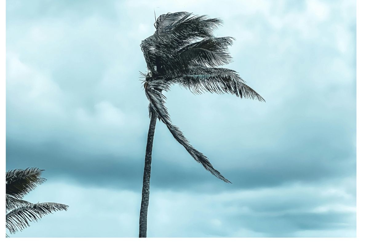 WEATHER: Powerful winds and rain set to hit  SA this weekend