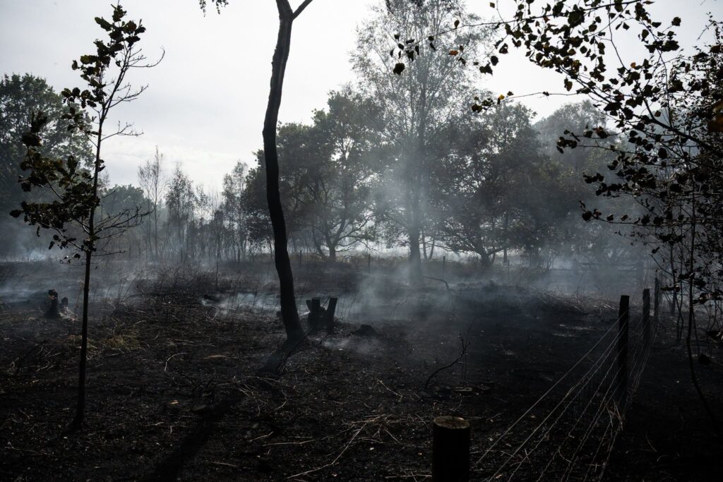 Pictures show devastation of huge Nottinghamshire wildfire – eight fire crews remain at scene