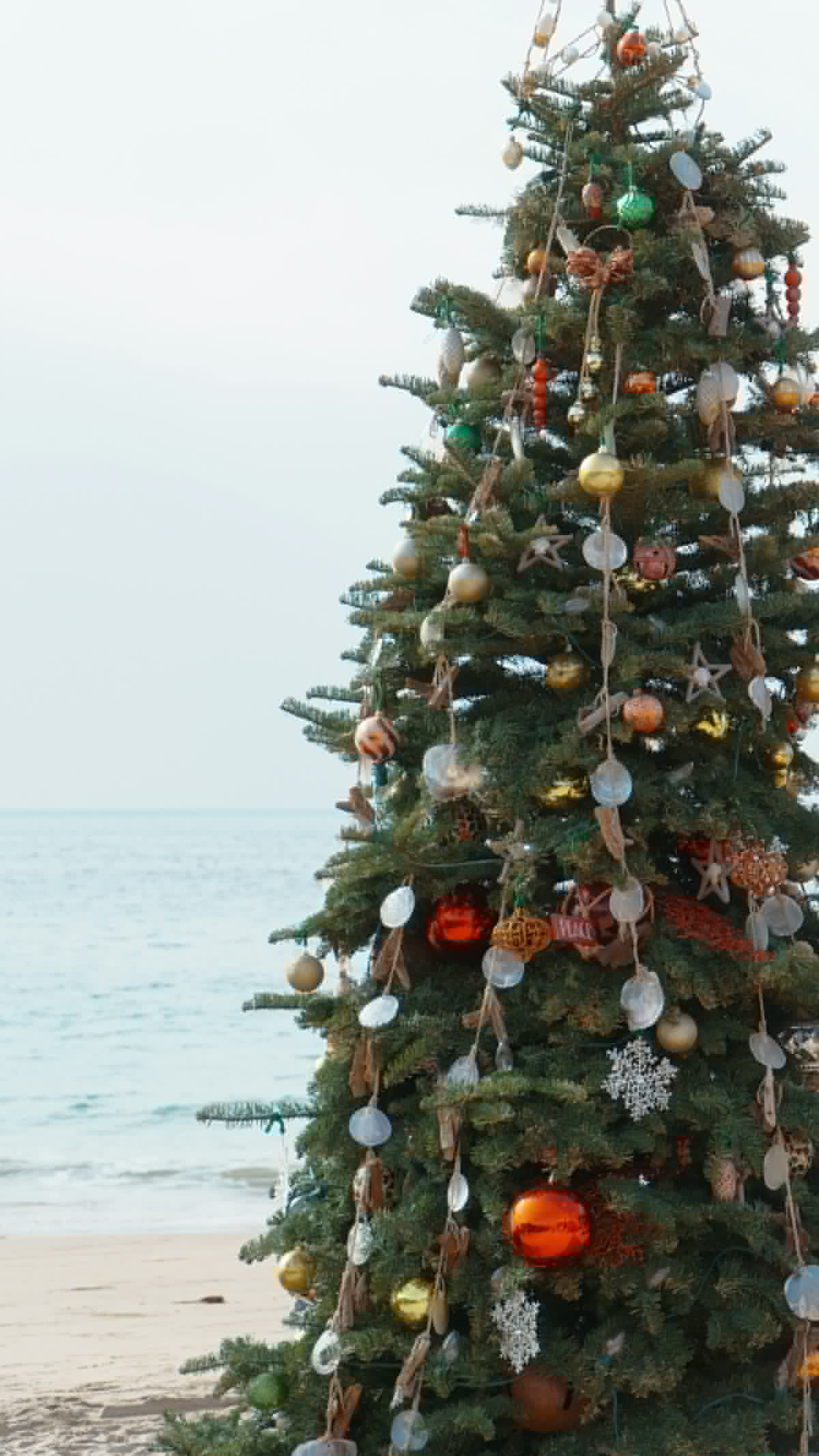 An Open Letter to Stores Pushing Christmas Four Months Early