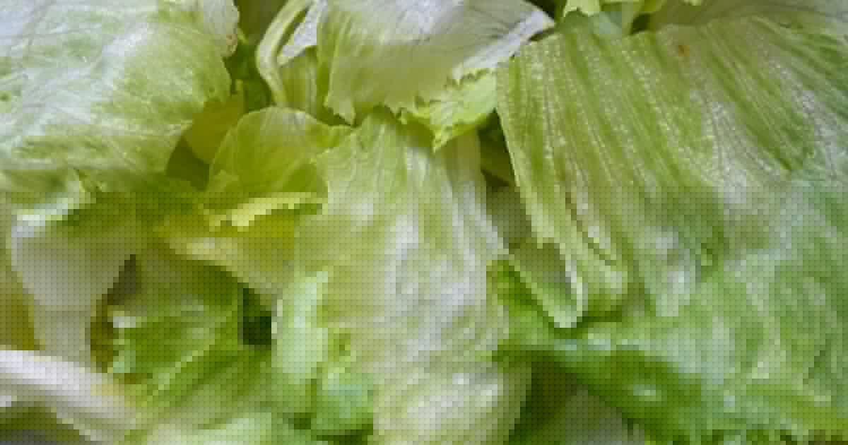 CDC expands iceberg lettuce cyclospora outbreak to 15 states