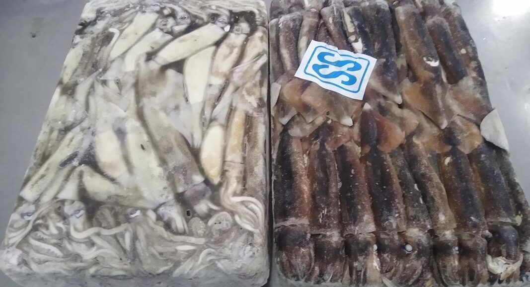 Peruvian jumbo flying squid prices rebound in week 5; Argentine illex stable