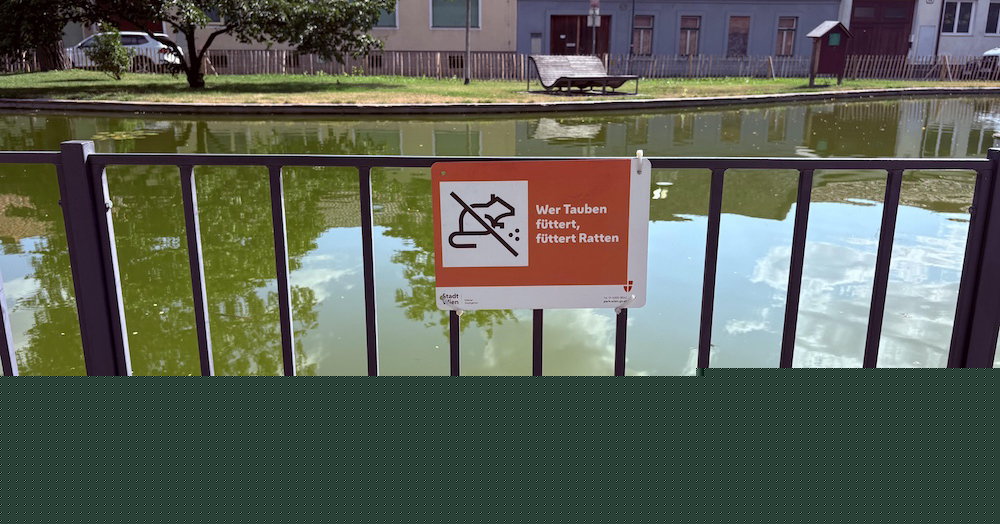 Rattenplage: Unangenehme Nachbarschaft am Leopoldauer Platz