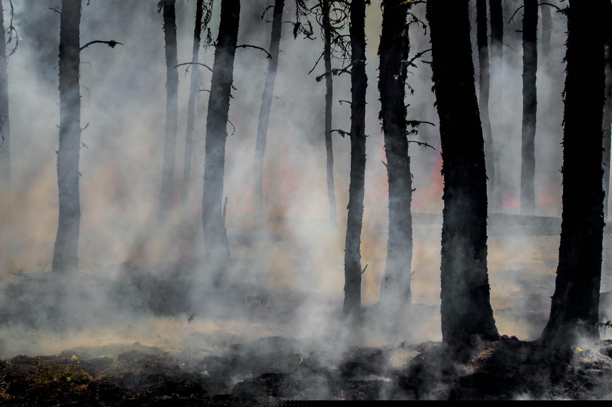 How Do The 2026 BWCAW Wildfires Compare In Size To Other Recent Historic Minnesota Wildfires?