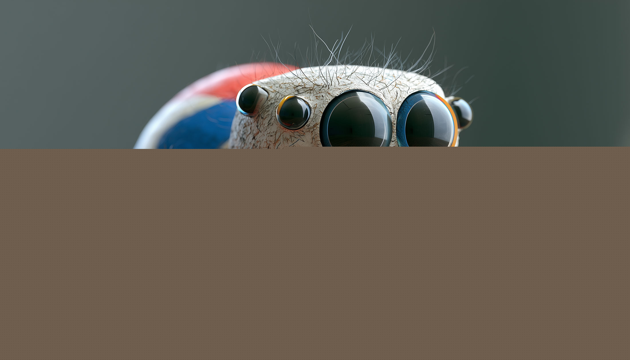 Google Crawlers Send HTTP Requests: HEAD, OPTIONS, PUT, PATCH, DELETE