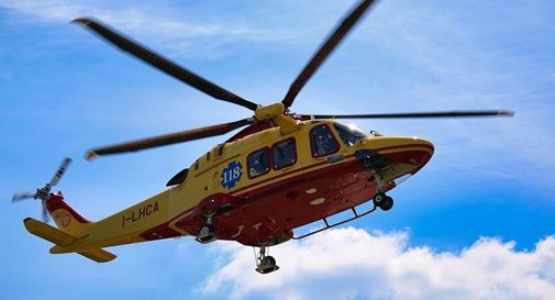Neonato punto da un calabrone: mobilitati soccorso alpino ed elicottero