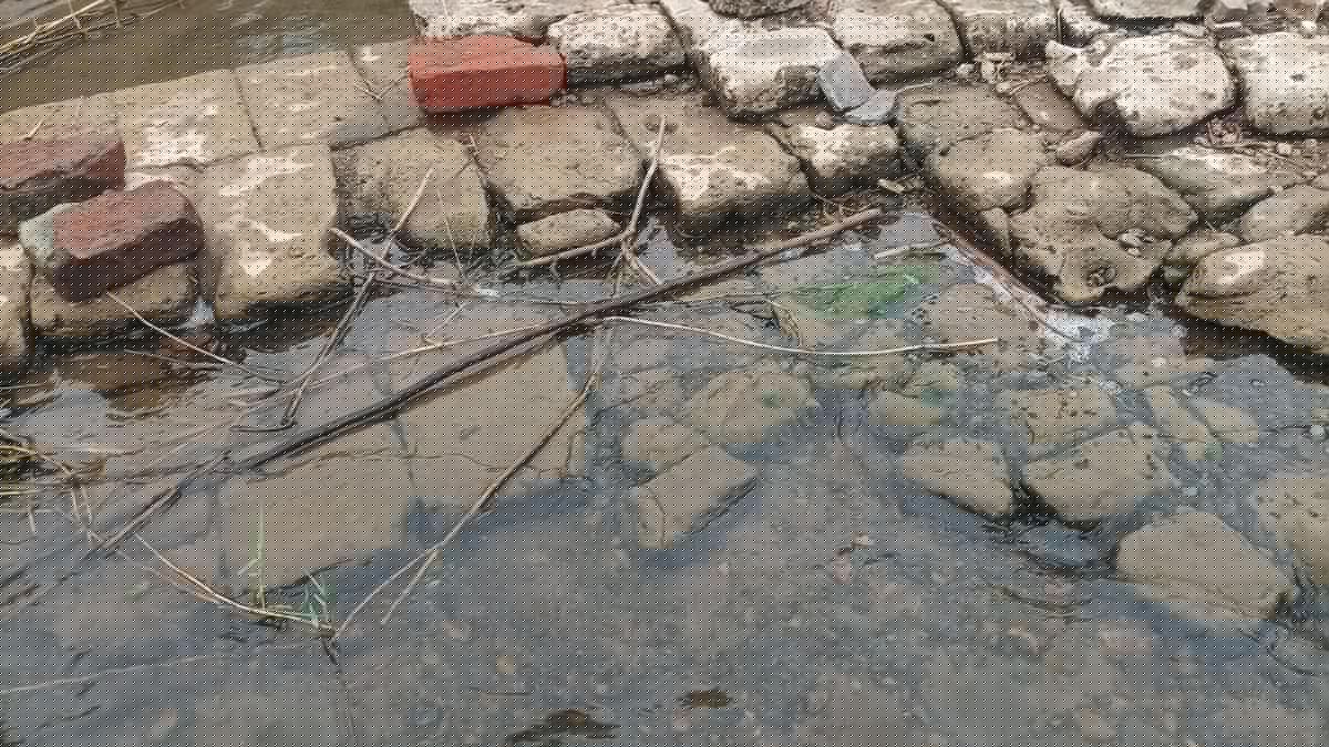 Possible Sangam-age irrigation structure exposed on Kollidam river near Tiruchi