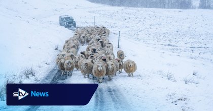 Sean Batty: What’s driving the current extreme weather across the Northern Hemisphere?