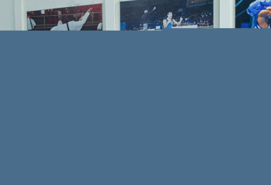 Yeniyetmələr arasında Respublika Şahmat Olimpiadasının qalibləri mükafatlandırılıb