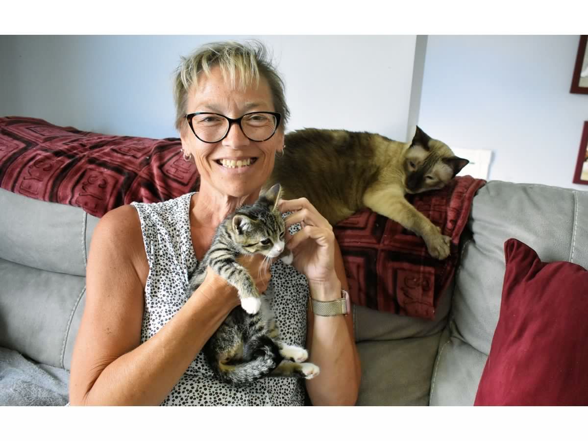 Remarkable feline friends honoured on National Cat Day