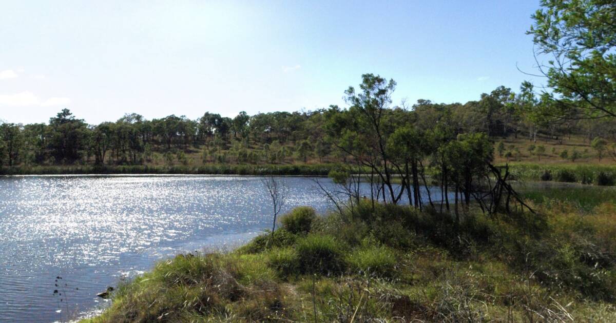 Rylstone Dam hits 100.2 per cent as water begins flowing into Cudgegong River