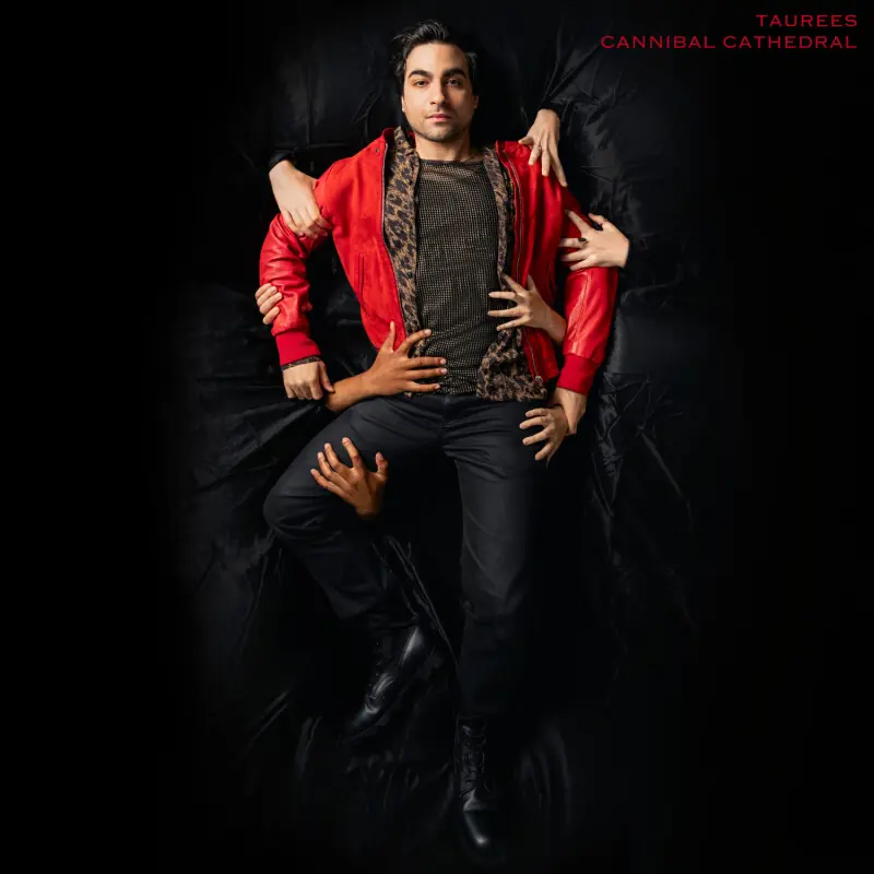 Pakistan’s Taurees Habib is so much more than his Grammy, and ‘Cannibal Cathedral’ proves it