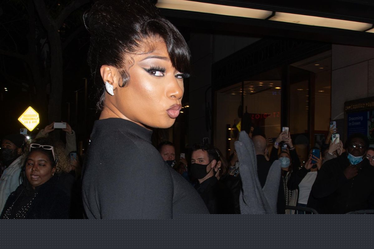 Megan Thee Stallion Revives Tina Snow With Sexy Album Announcement – Look At These Pictures