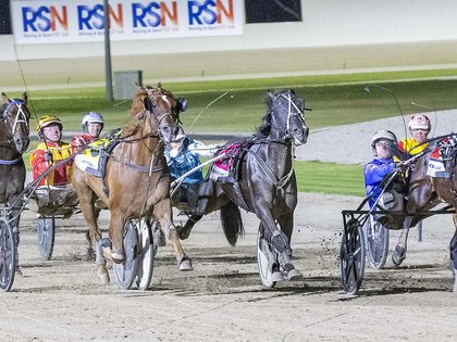 Two paths emerge after Menangle Great Southern Star trial