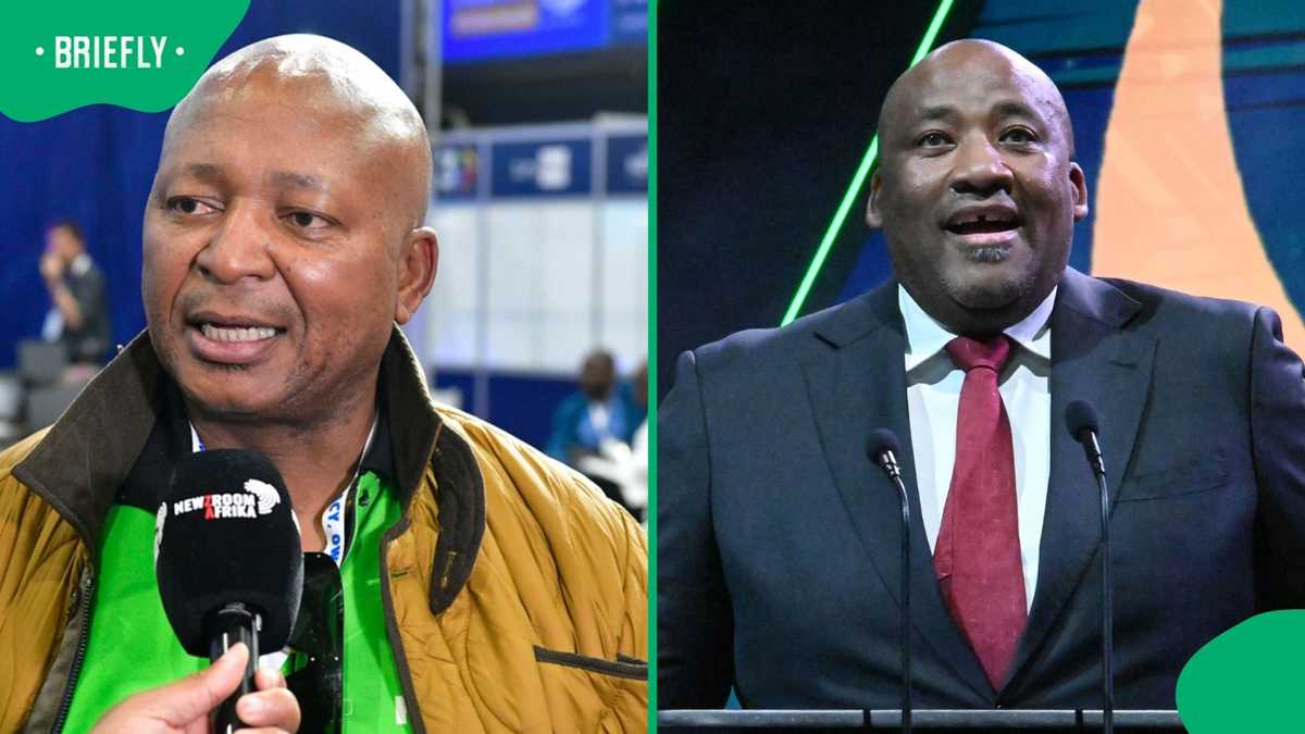Why Patriotic Alliance is remaining in the Government of National Unity