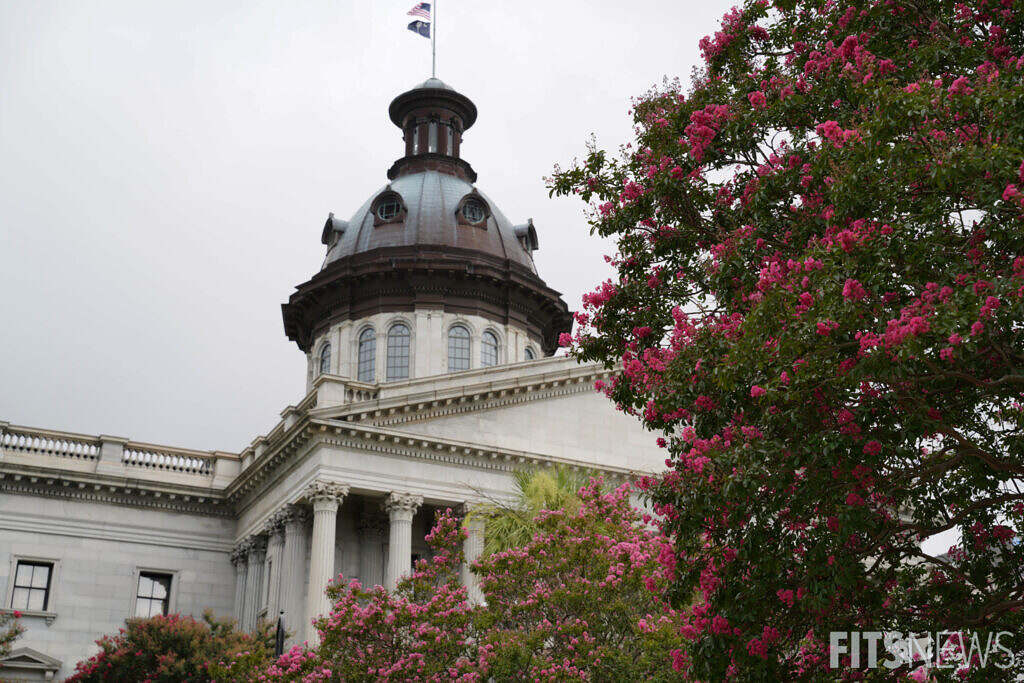 Comment on S.C. Freedom Caucus: State Budget Process Raises Constitutional Questions by Goody3
